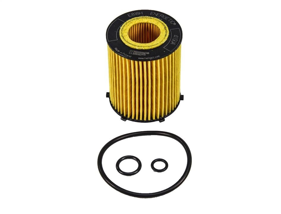 Hengst E818H D238 Oil Filter E818HD238: Buy near me in Poland at 2407.PL - Good price!