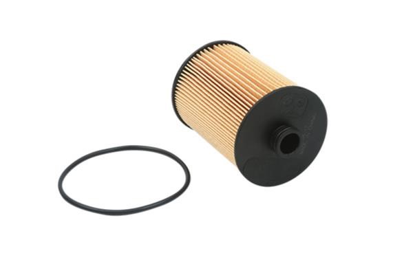 Borsehung B18015 Oil Filter B18015: Buy near me in Poland at 2407.PL - Good price!