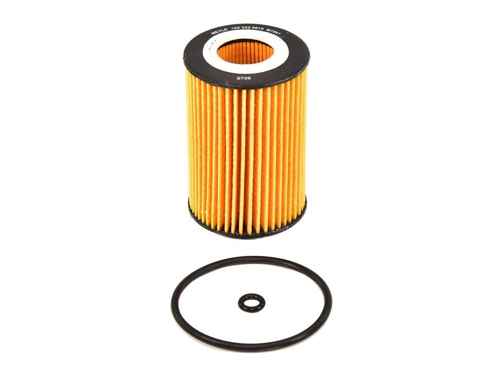 Meyle 1 003 220 019 Oil Filter 1003220019: Buy near me at 2407.PL in Poland at an Affordable price!