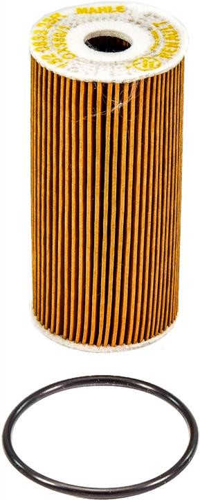 Renault 15 20 945 43R Oil Filter 152094543R: Buy near me at 2407.PL in Poland at an Affordable price!