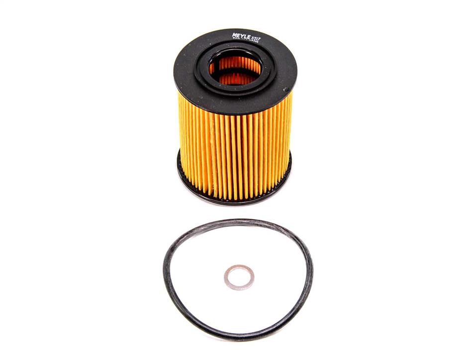 Meyle 300 114 2200 Oil Filter 3001142200: Buy near me at 2407.PL in Poland at an Affordable price!