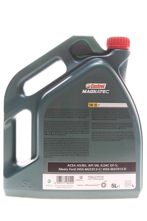 Engine oil Ford Magnatec Professional A5 5W-30, 5L Ford 15534F