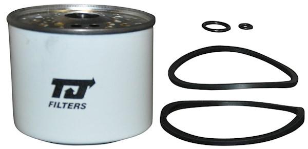 Jp Group 1118705309 Fuel filter 1118705309: Buy near me in Poland at 2407.PL - Good price!