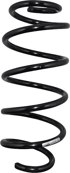 Jp Group 1142209209 Coil Spring 1142209209: Buy near me in Poland at 2407.PL - Good price!