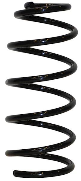 Jp Group 1142205909 Coil Spring 1142205909: Buy near me in Poland at 2407.PL - Good price!