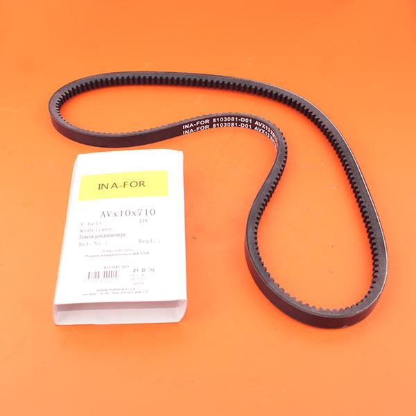 INA-FOR 8103081-D01-INF V-Ribbed Belt 8103081D01INF: Buy near me in Poland at 2407.PL - Good price!