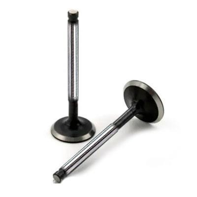 Ipsa VL087700 Intake valve VL087700: Buy near me at 2407.PL in Poland at an Affordable price!