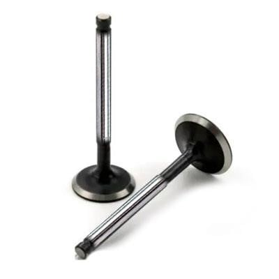 Wilmink Group WG1174165 Intake valve WG1174165: Buy near me at 2407.PL in Poland at an Affordable price!
