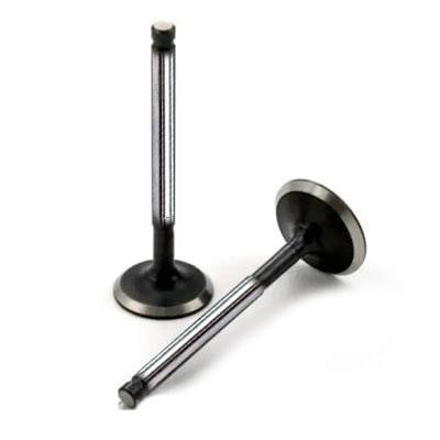 Wilmink Group WG1174192 Intake valve WG1174192: Buy near me in Poland at 2407.PL - Good price!