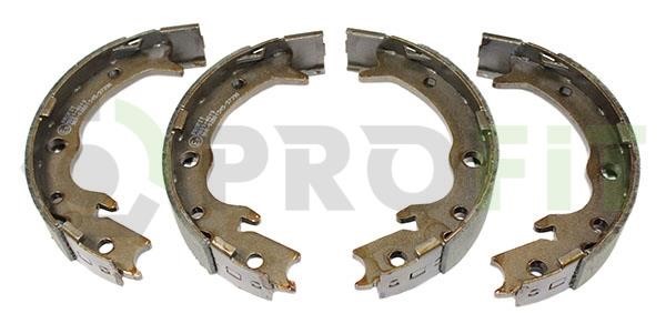 Profit 5001-4019 Brake shoe set 50014019: Buy near me in Poland at 2407.PL - Good price!