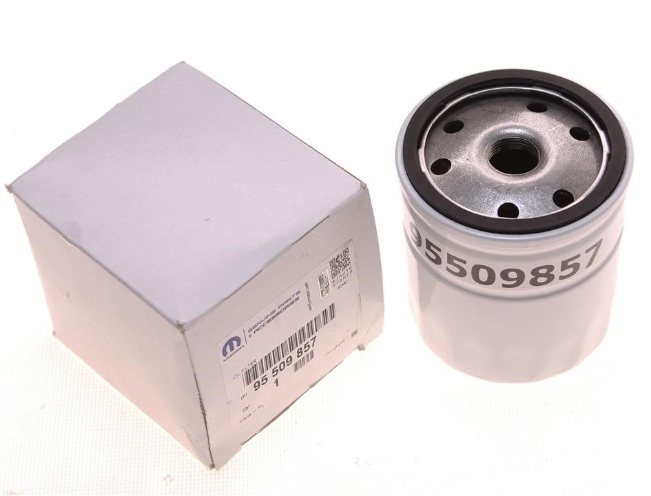 Opel 95509857 Oil Filter 95509857: Buy near me in Poland at 2407.PL - Good price!