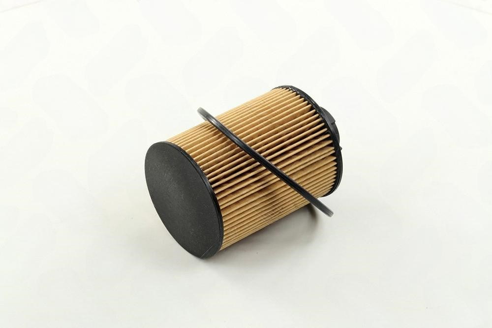 Rider RD.2049WF8366 Fuel filter RD2049WF8366: Buy near me in Poland at 2407.PL - Good price!