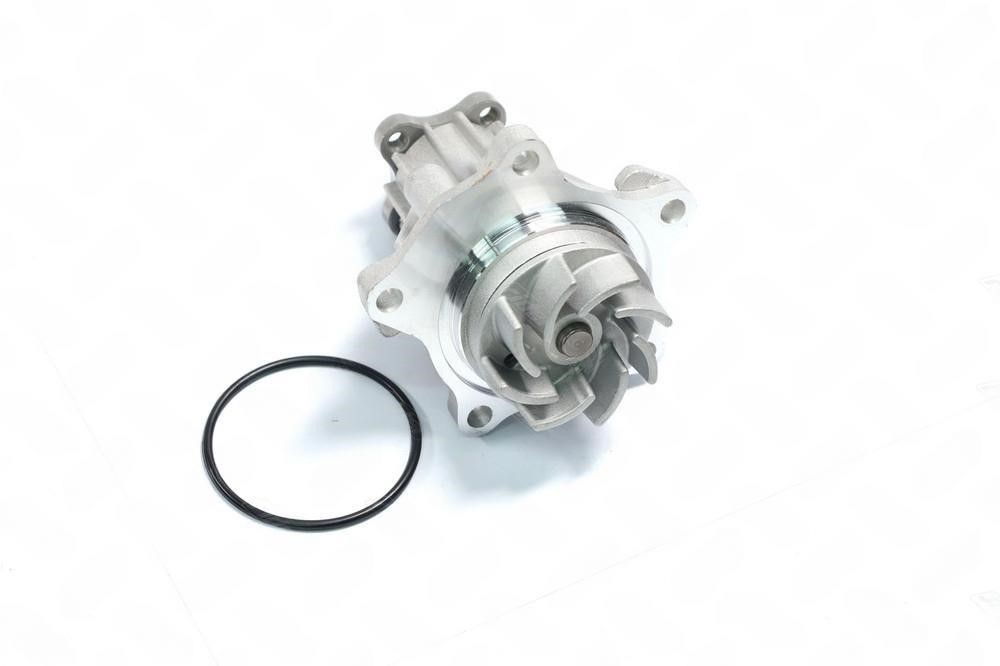 Rider RD.150165241 Water pump RD150165241: Buy near me at 2407.PL in Poland at an Affordable price!