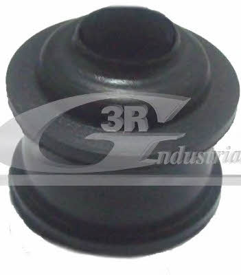 3RG 24612 Gearbox backstage bushing 24612: Buy near me in Poland at 2407.PL - Good price!