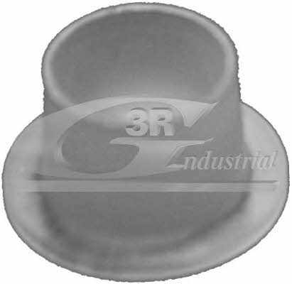 3RG 24745 Gearbox backstage bushing 24745: Buy near me in Poland at 2407.PL - Good price!