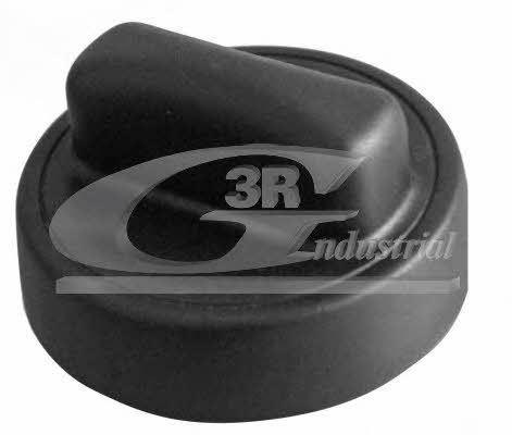 3RG 80103 Fuel Door Assembly 80103: Buy near me at 2407.PL in Poland at an Affordable price!