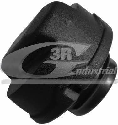 3RG 81725 Fuel Door Assembly 81725: Buy near me in Poland at 2407.PL - Good price!