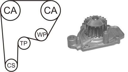 Airtex WPK-136801 TIMING BELT KIT WITH WATER PUMP WPK136801: Buy near me in Poland at 2407.PL - Good price!