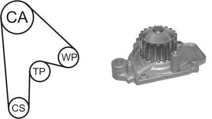 Airtex WPK-136802 TIMING BELT KIT WITH WATER PUMP WPK136802: Buy near me in Poland at 2407.PL - Good price!