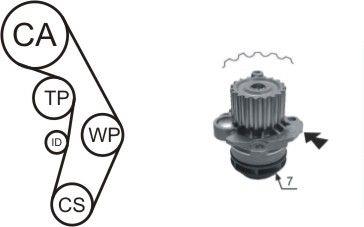 Airtex WPK-177405 TIMING BELT KIT WITH WATER PUMP WPK177405: Buy near me in Poland at 2407.PL - Good price!