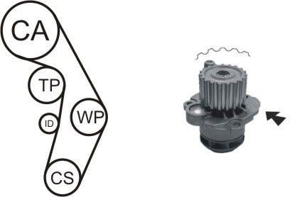 Airtex WPK-177603 TIMING BELT KIT WITH WATER PUMP WPK177603: Buy near me in Poland at 2407.PL - Good price!
