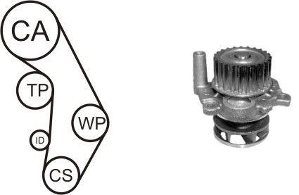 Airtex WPK-937702 TIMING BELT KIT WITH WATER PUMP WPK937702: Buy near me in Poland at 2407.PL - Good price!