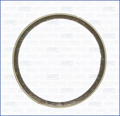 Ajusa 19004000 O-ring exhaust system 19004000: Buy near me in Poland at 2407.PL - Good price!