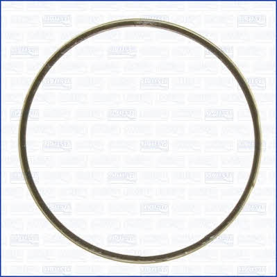 Ajusa 19004700 Exhaust pipe gasket 19004700: Buy near me in Poland at 2407.PL - Good price!