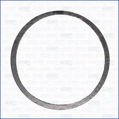 Ajusa 19006100 Exhaust pipe gasket 19006100: Buy near me in Poland at 2407.PL - Good price!