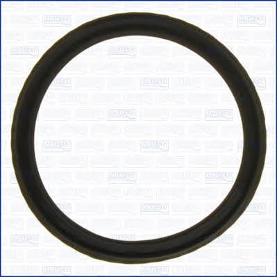 Ajusa 01100000 O-ring for oil filter cover 01100000: Buy near me in Poland at 2407.PL - Good price!