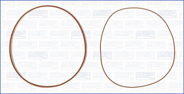 Ajusa 60001900 O-rings for cylinder liners, kit 60001900: Buy near me in Poland at 2407.PL - Good price!