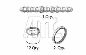 Amadeo Marti Carbonell 653853K Camshaft set 653853K: Buy near me in Poland at 2407.PL - Good price!