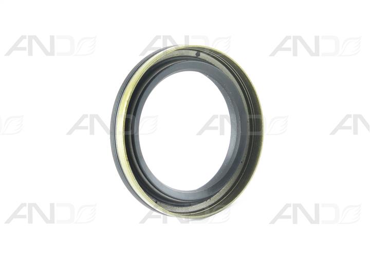 AND 30301001 Ring sealing 30301001: Buy near me in Poland at 2407.PL - Good price!