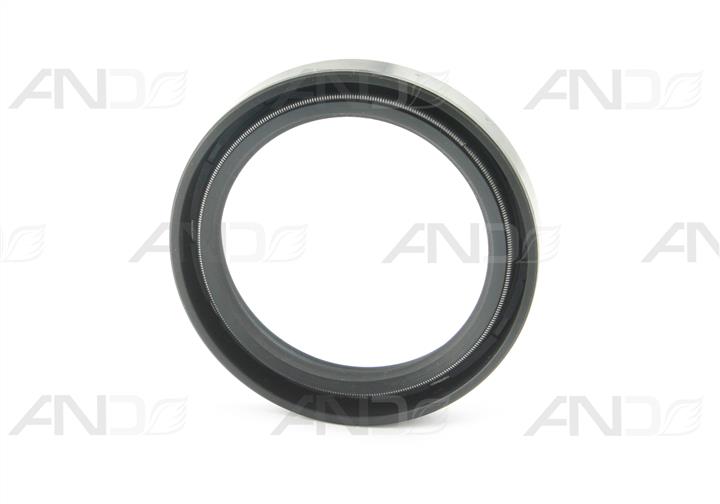 AND 30301002 Ring sealing 30301002: Buy near me in Poland at 2407.PL - Good price!