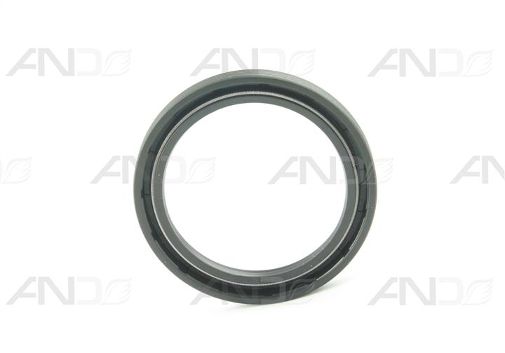 AND 30409001 Ring sealing 30409001: Buy near me at 2407.PL in Poland at an Affordable price!