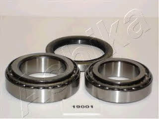 Ashika 44-19001 Wheel bearing kit 4419001: Buy near me in Poland at 2407.PL - Good price!