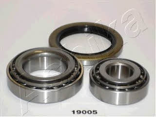 Ashika 44-19005 Wheel bearing kit 4419005: Buy near me in Poland at 2407.PL - Good price!