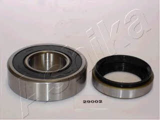Ashika 44-29002 Wheel bearing kit 4429002: Buy near me in Poland at 2407.PL - Good price!
