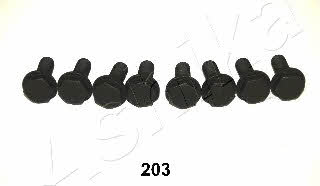 Ashika 54-02-203 Flywheel mounting bolts, kit 5402203: Buy near me in Poland at 2407.PL - Good price!