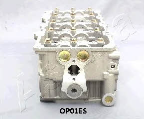 Ashika OP01ES Головка блока цилиндров OP01ES: Отличная цена - Купить в Польше на 2407.PL!