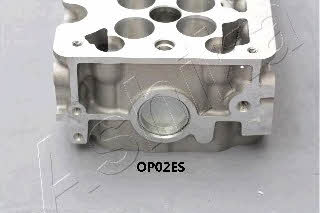 Ashika OP02ES Головка блока цилиндров OP02ES: Отличная цена - Купить в Польше на 2407.PL!