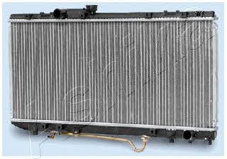Ashika RDA153021 Радиатор охлаждения двигателя RDA153021: Отличная цена - Купить в Польше на 2407.PL!