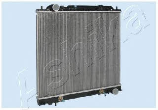 Ashika RDA163017 Радиатор охлаждения двигателя RDA163017: Отличная цена - Купить в Польше на 2407.PL!