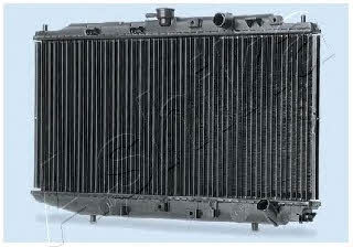 Ashika RDA192206 Радиатор охлаждения двигателя RDA192206: Отличная цена - Купить в Польше на 2407.PL!