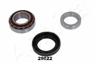Ashika 44-29022 Wheel bearing kit 4429022: Buy near me in Poland at 2407.PL - Good price!