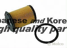 Ashuki 0399-7301 Fuel filter 03997301: Buy near me in Poland at 2407.PL - Good price!