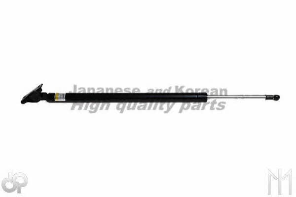Ashuki D925-12 Gas Spring, boot-/cargo area D92512: Buy near me at 2407.PL in Poland at an Affordable price!