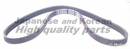 Ashuki VM4-0960 V-ribbed belt 4PK960 VM40960: Buy near me in Poland at 2407.PL - Good price!