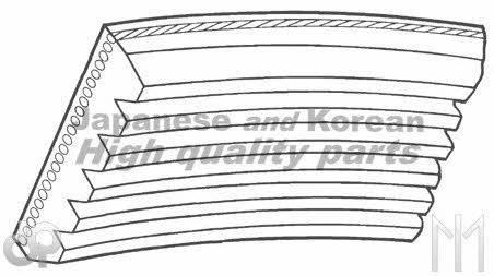 Ashuki M281-05 V-ribbed belt 4PK875 M28105: Buy near me in Poland at 2407.PL - Good price!