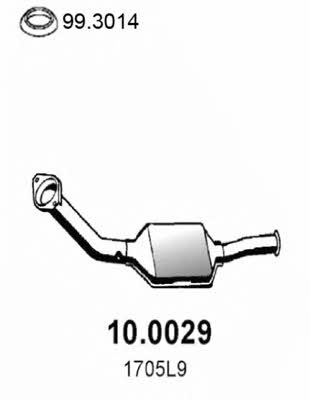  10.0029 Catalytic Converter 100029: Buy near me in Poland at 2407.PL - Good price!